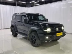 Tank 300