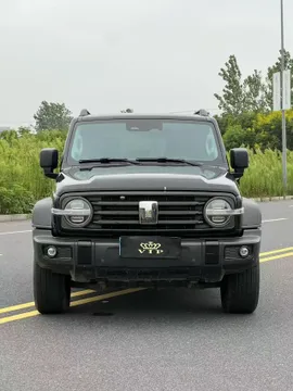Tank 300
