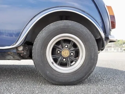 Rover Mini