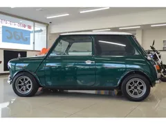 Rover Mini