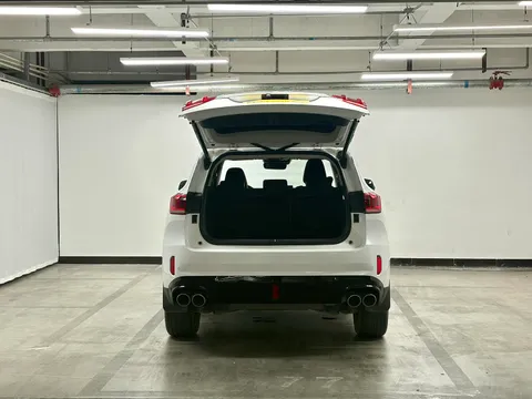 Wey VV6