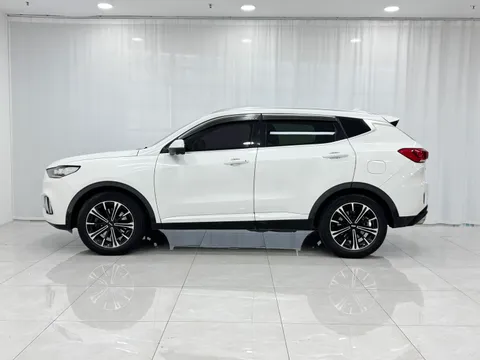 Wey VV6