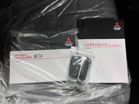 Mitsubishi Delica Mini