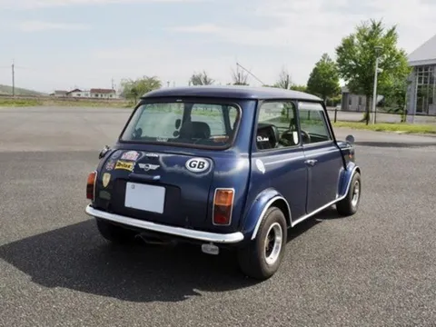 Rover Mini