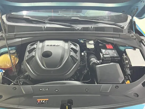 Geely Preface (Xingrui)