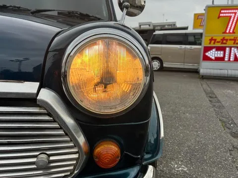Rover Mini