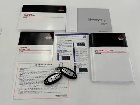 Mitsubishi Delica Mini