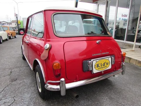 Rover Mini