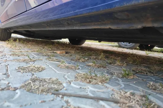 Honda Jazz (Fit)