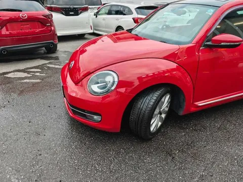 Volkswagen Beetle
