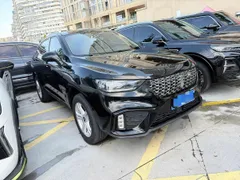 Wey VV5