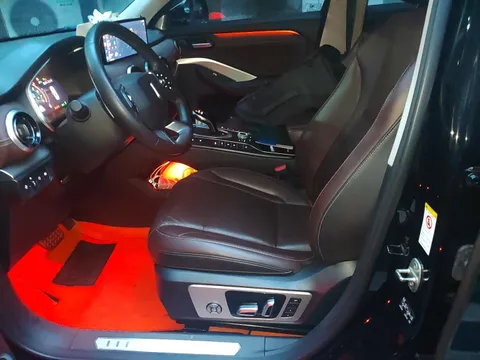 Wey VV6