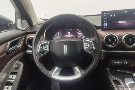 Wey VV6