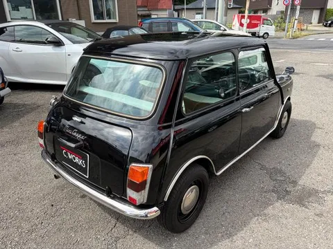 Rover Mini