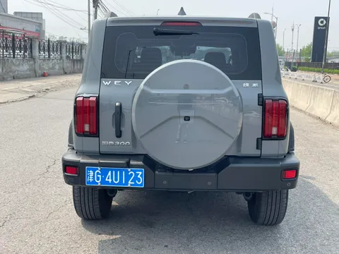 Tank 300
