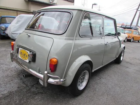 Rover Mini
