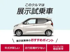 Nissan Clipper Rio