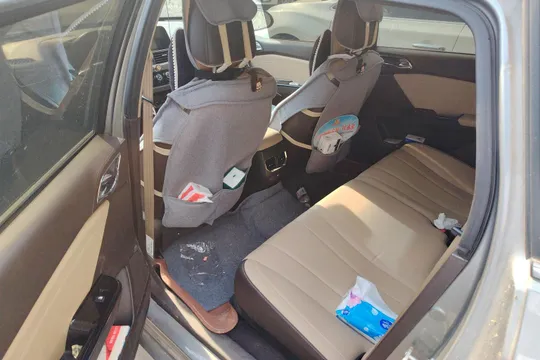 Baojun 310W