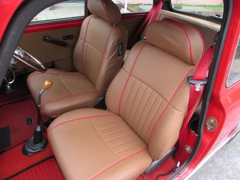 Rover Mini