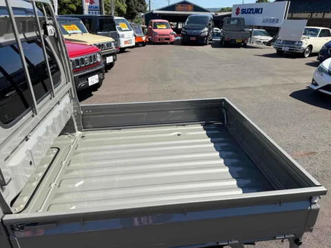 Suzuki Carry Track