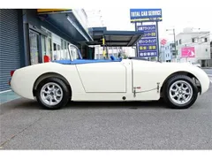 Austin Healey