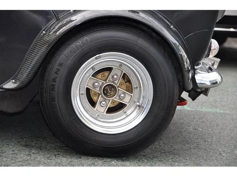 Rover Mini