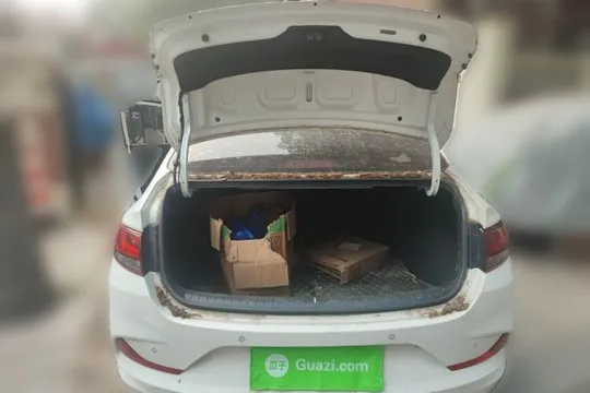 Hyundai Celesta