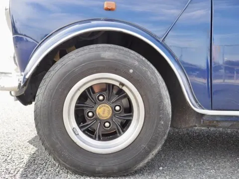 Rover Mini