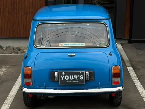 Rover Mini