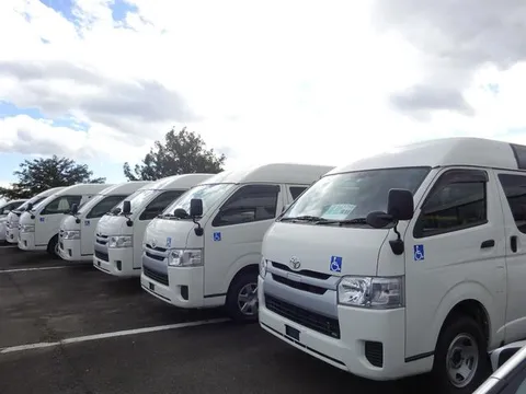 Mitsubishi Minicab Truck