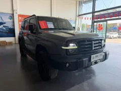 Tank 300