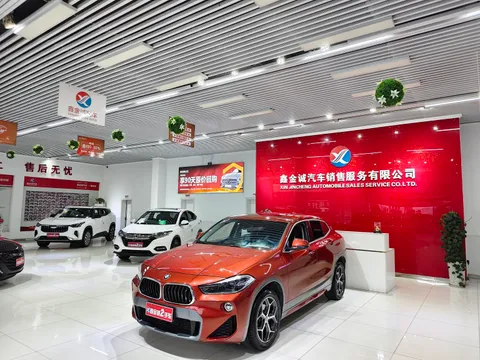 BMW X2