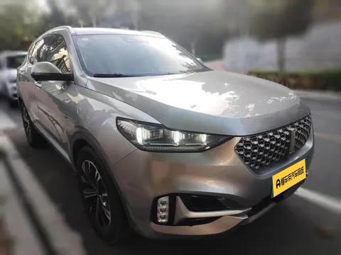 Wey VV6