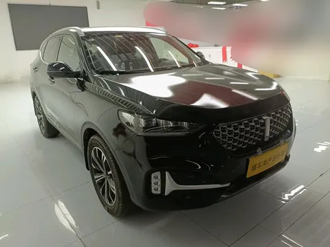 Wey VV6