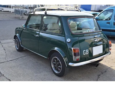 Rover Mini