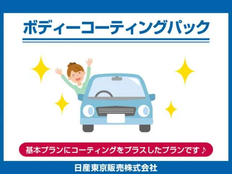Nissan Clipper Rio
