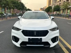 Wey VV7