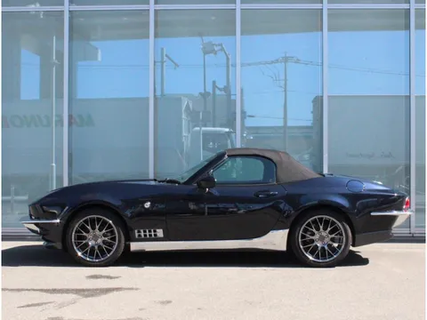 Mitsuoka Rock Star
