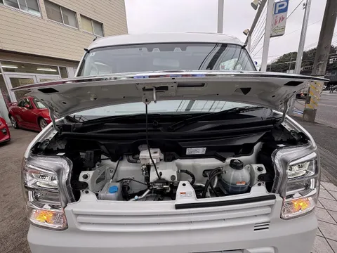 Nissan Clipper Van