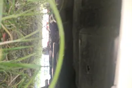 Toyota Vios FS
