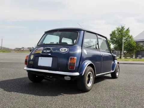 Rover Mini