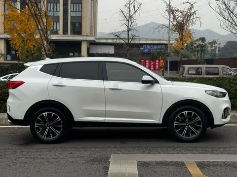 Wey VV6