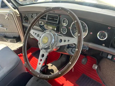 Rover Mini