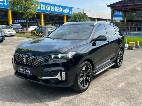 Wey VV6
