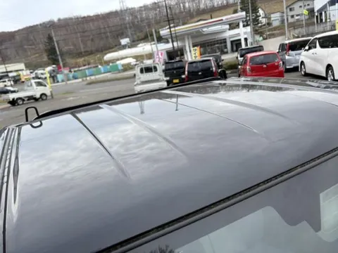 Suzuki Carry Track