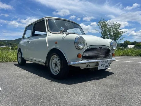Rover Mini
