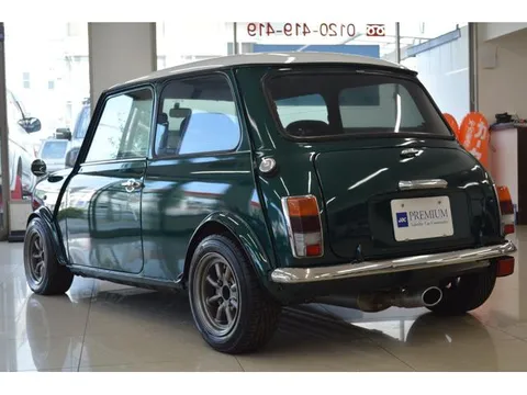 Rover Mini
