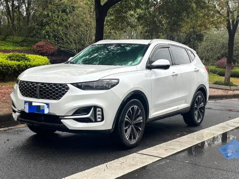 Wey VV6