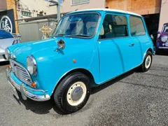 Rover Mini