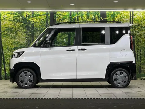 Mitsubishi Delica Mini
